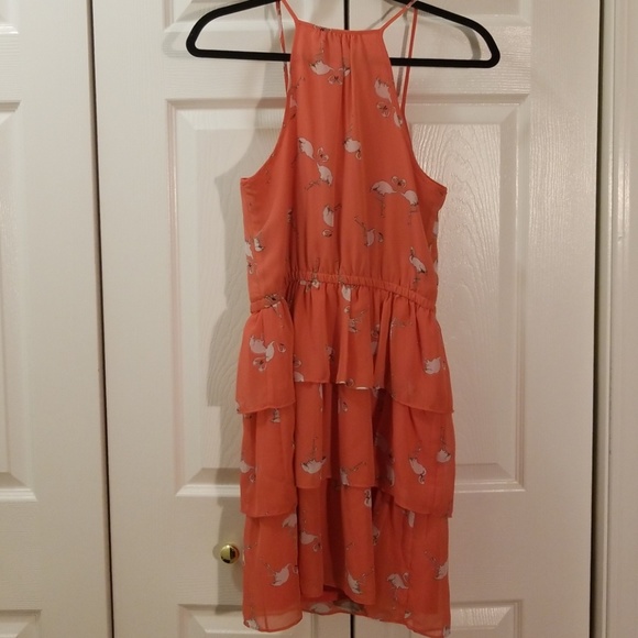 Fracesca's Pink Flamingo Dress - Picture 2 of 2